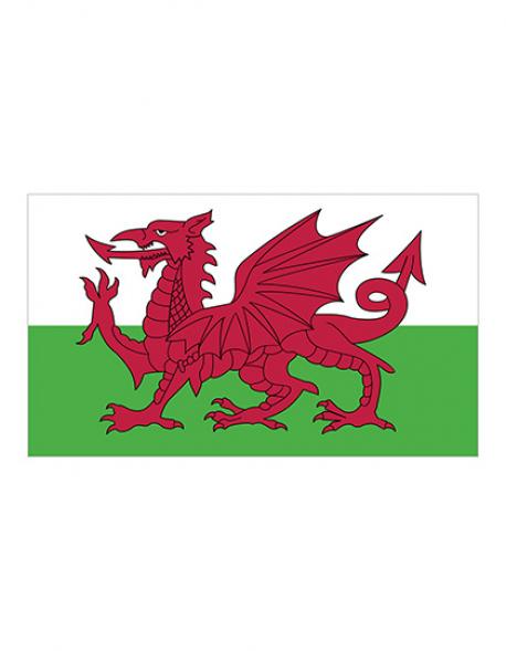 Fahne Wales / 90 x 150 cm