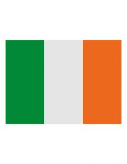 Fahne Irland / 90 x 150 cm