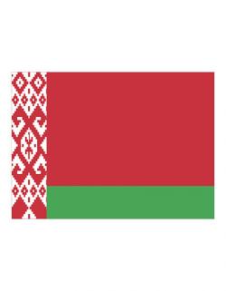 Fahne Weißrussland / 90 x 150 cm