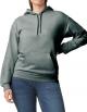 Softstyle® Midweight Sweat Adult Hoodie Unisex S bis 5XL